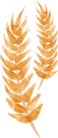 imagem de desenvolvimento emocional